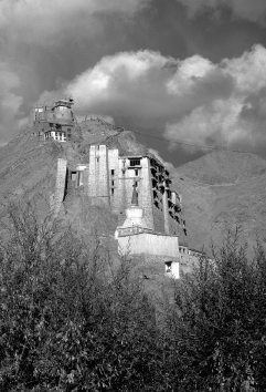 Royal Palace in Leh, Ladakh